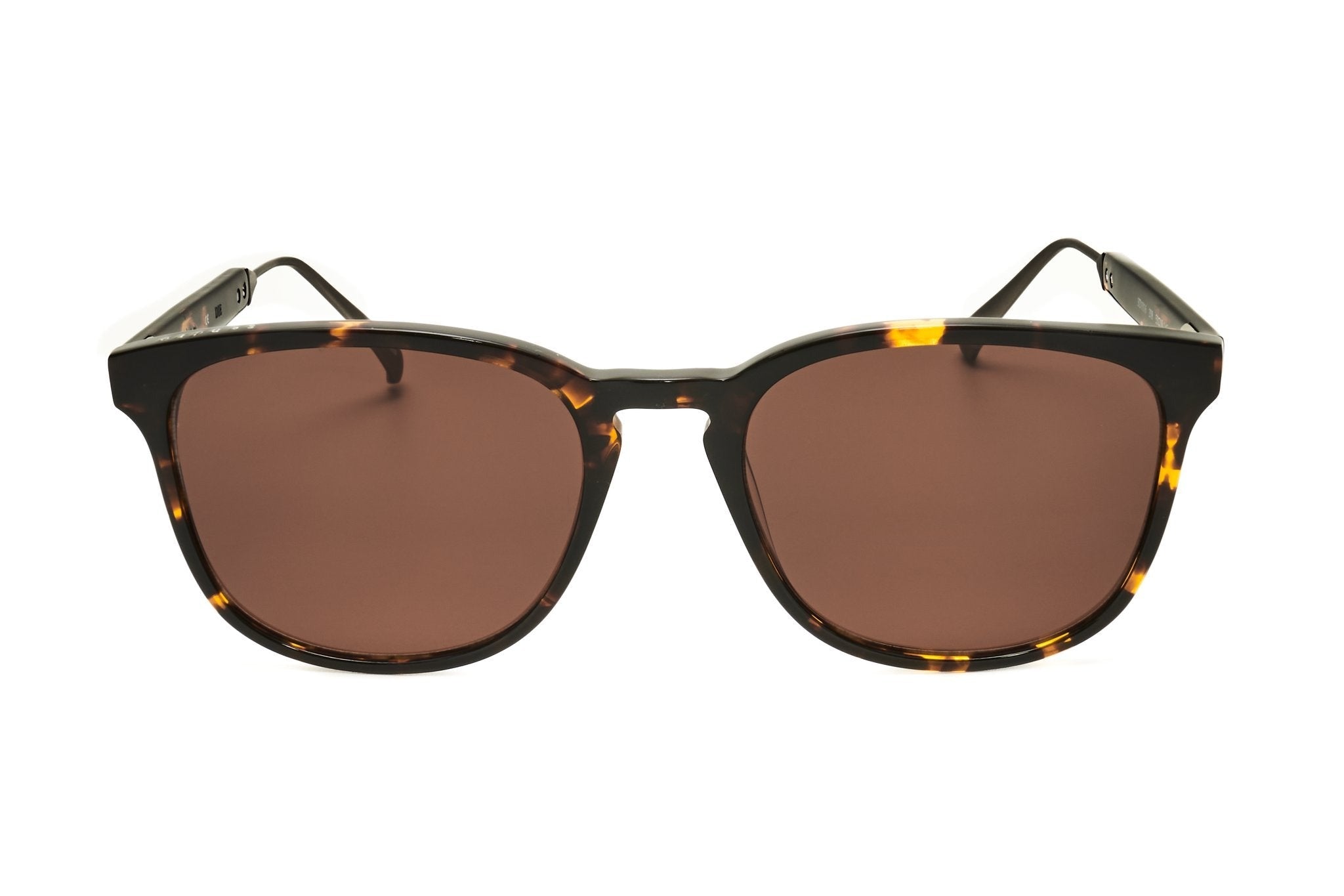 Sandro Men's Acetate Sunglasses