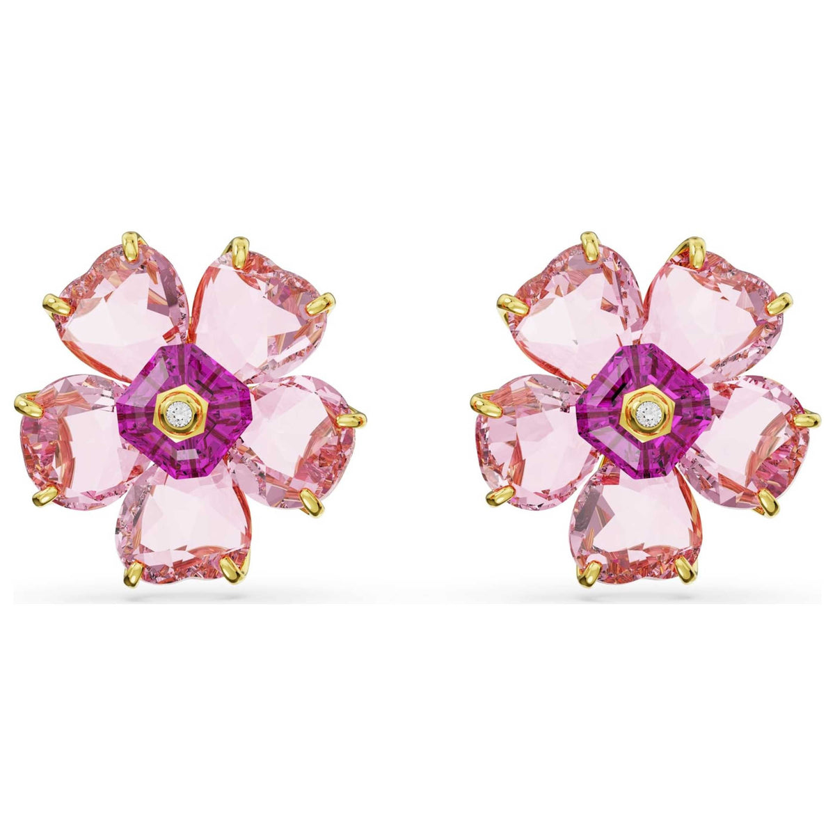 Swarovski Women's Earrings 5650563