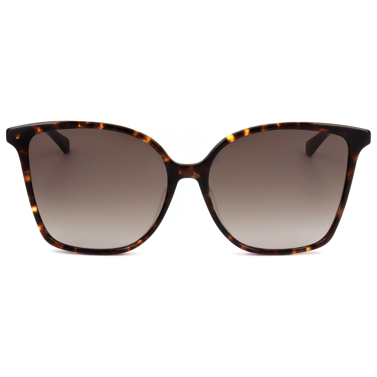 Kate Spade Women's Sunglasses BRIGITTE-F-S-086-58