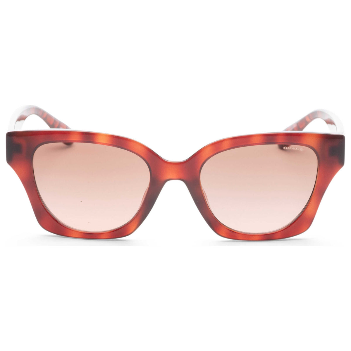 Coach Women's Sunglasses HC8418U-577413-53