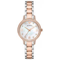 Emporio Armani Classic Women's Watch AR11499