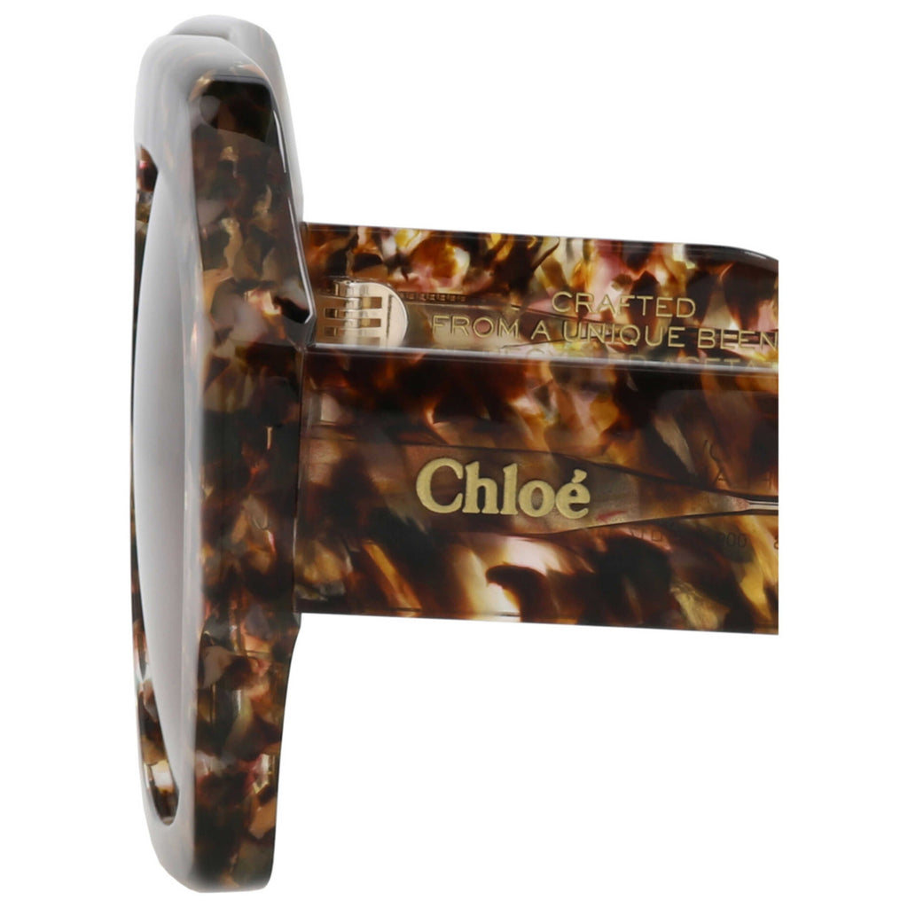 Chloe Women's Sunglasses CH0154S-30014079-009