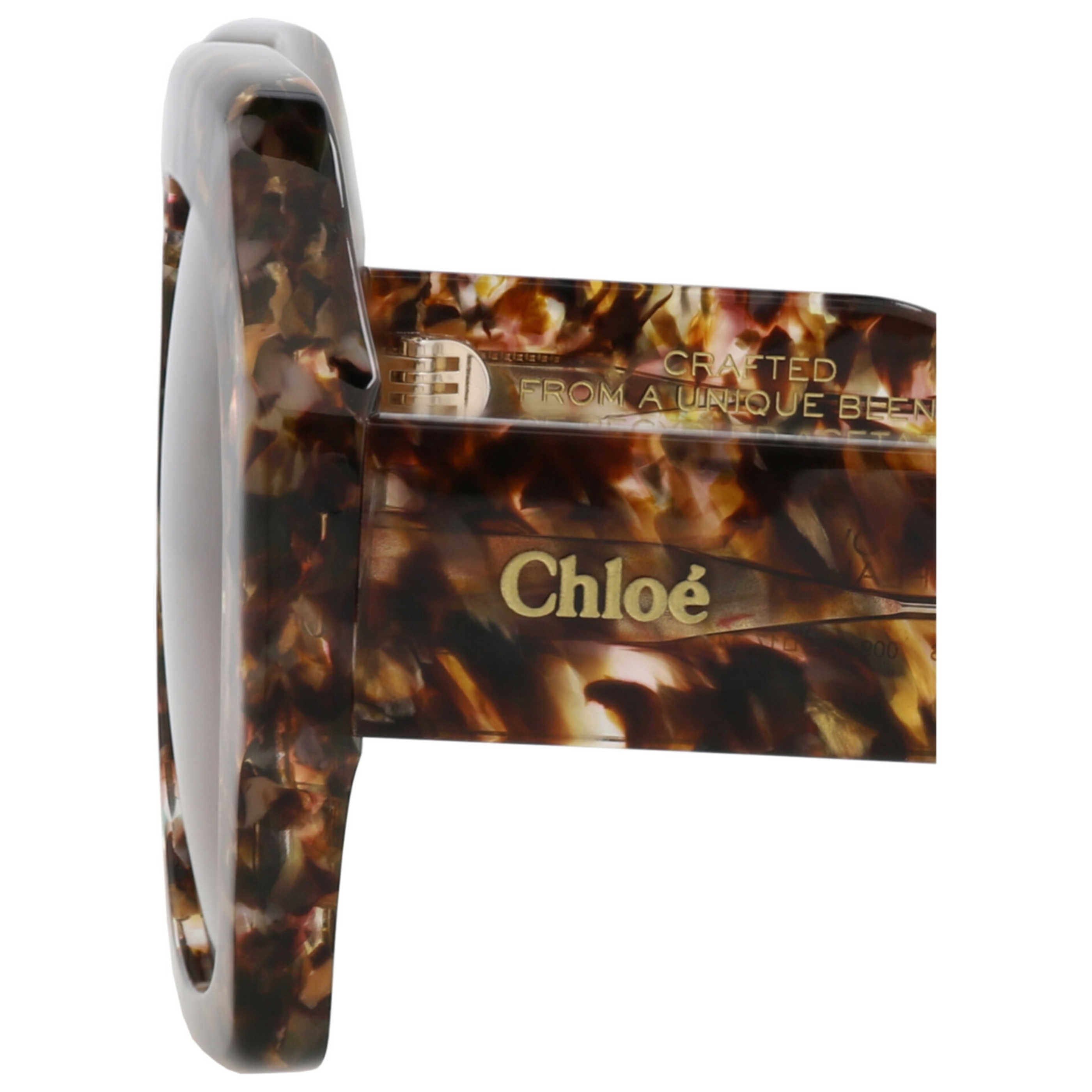 Chloe Women's Sunglasses CH0154S-30014079-009