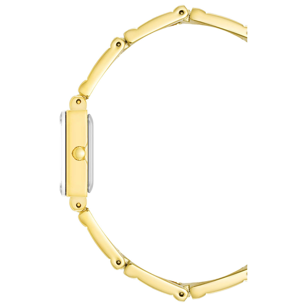 Anne Klein Women's Watch 10-4898CHGP