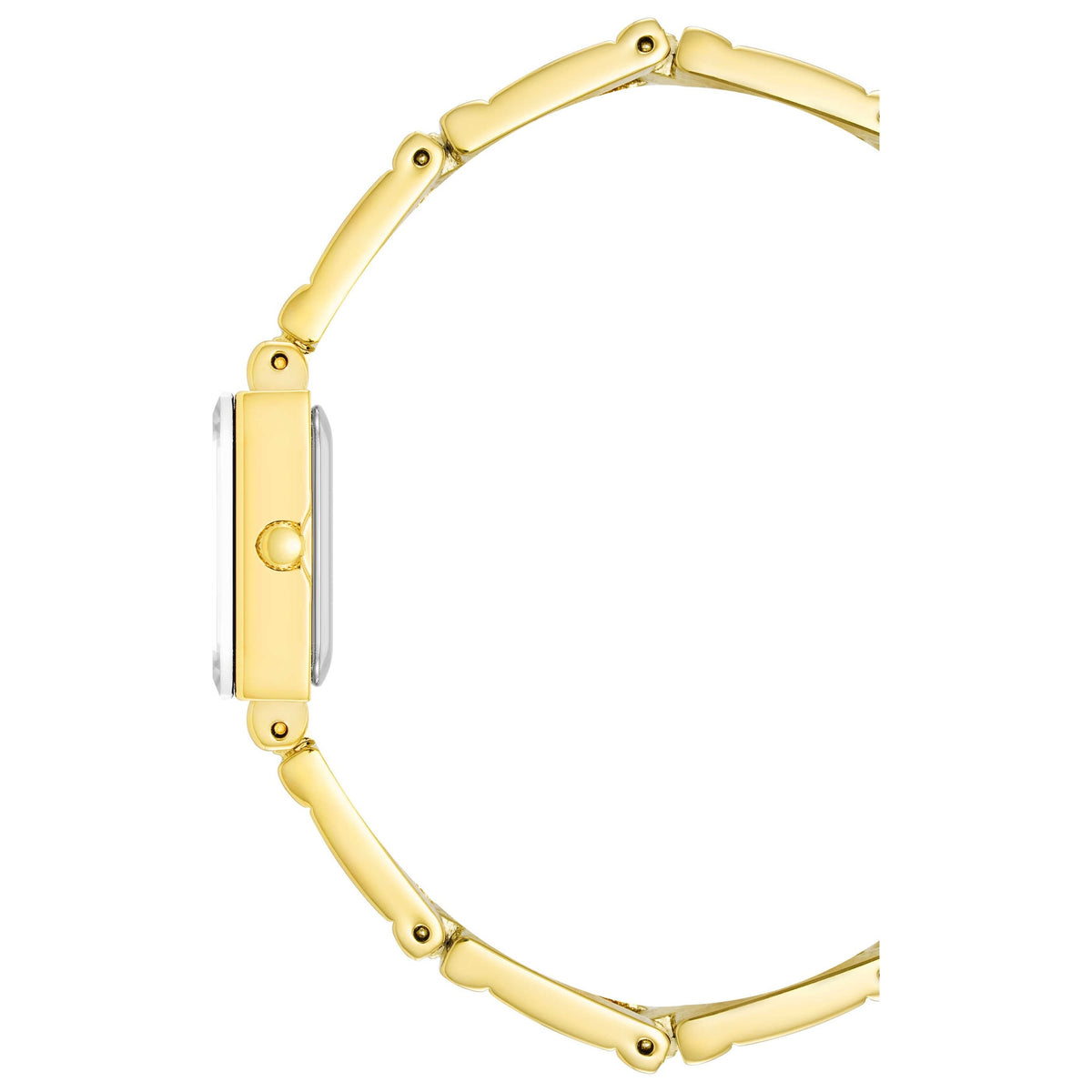 Anne Klein Women's Watch 10-4898CHGP
