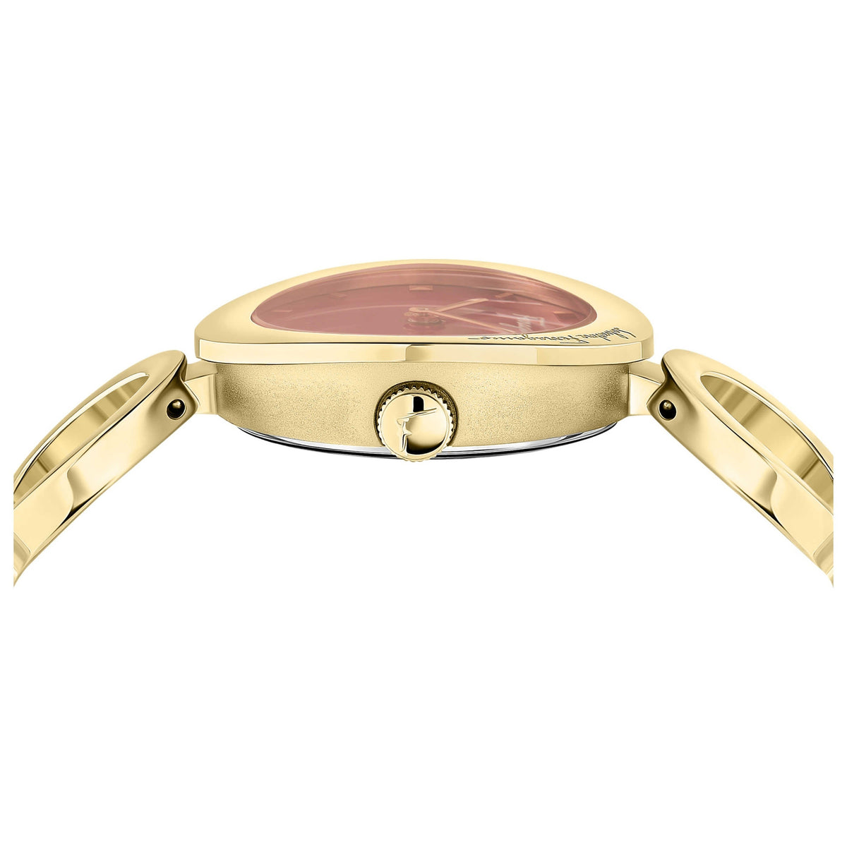 Ferragamo Women's Watch SFYA00621