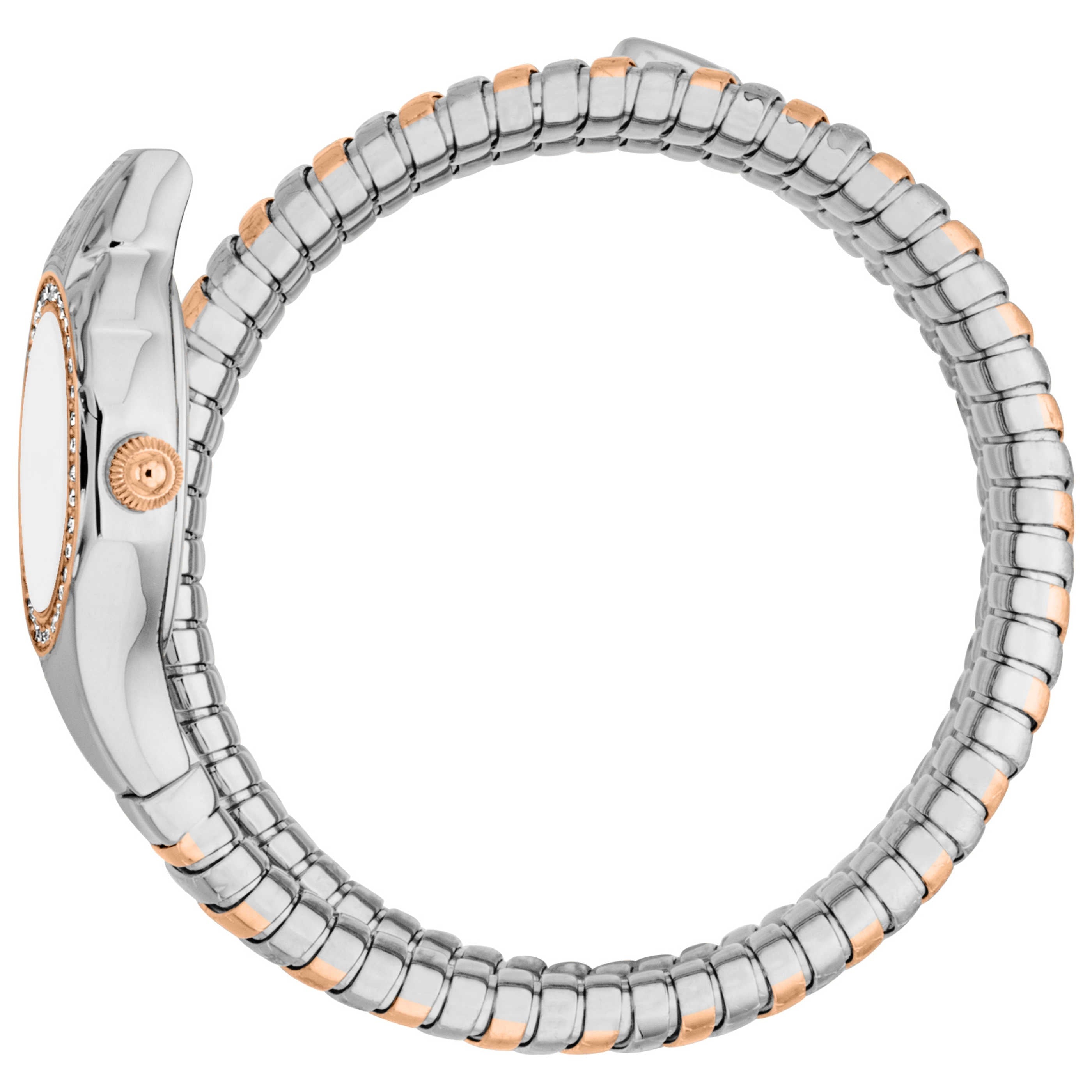 Just Cavalli Women's Watch JC1L355M0065