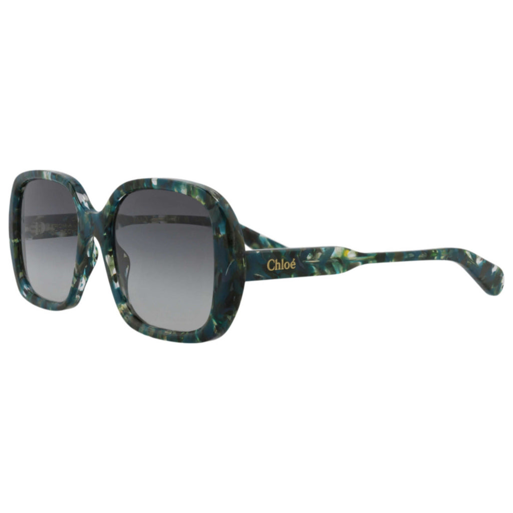 Chloe Women's Sunglasses CH0222S-30015147-004