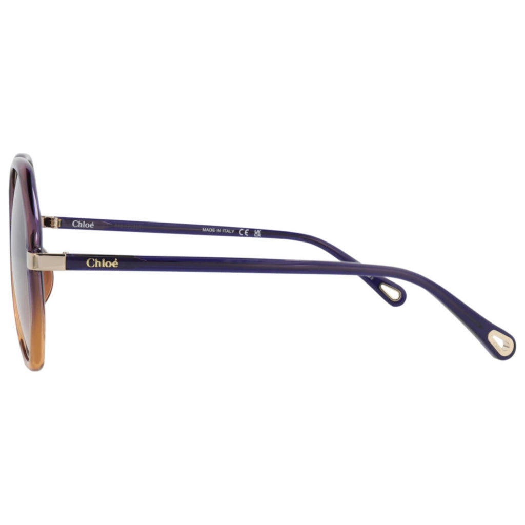 Chloe Women's Sunglasses CH0133SA-30013646-007