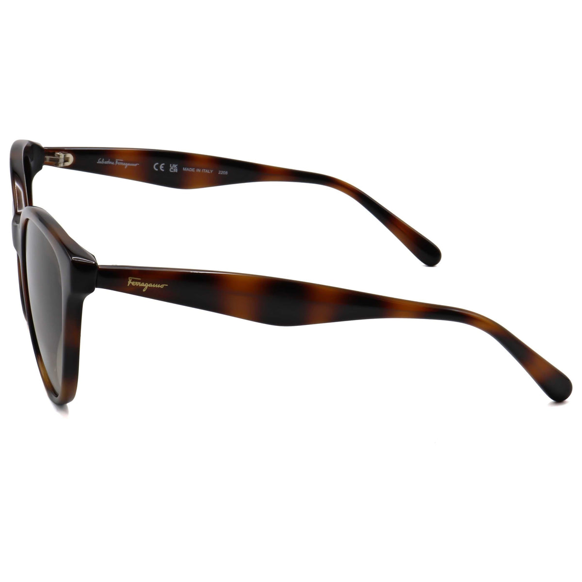 Ferragamo Fashion Women's Sunglasses SF1073S-240