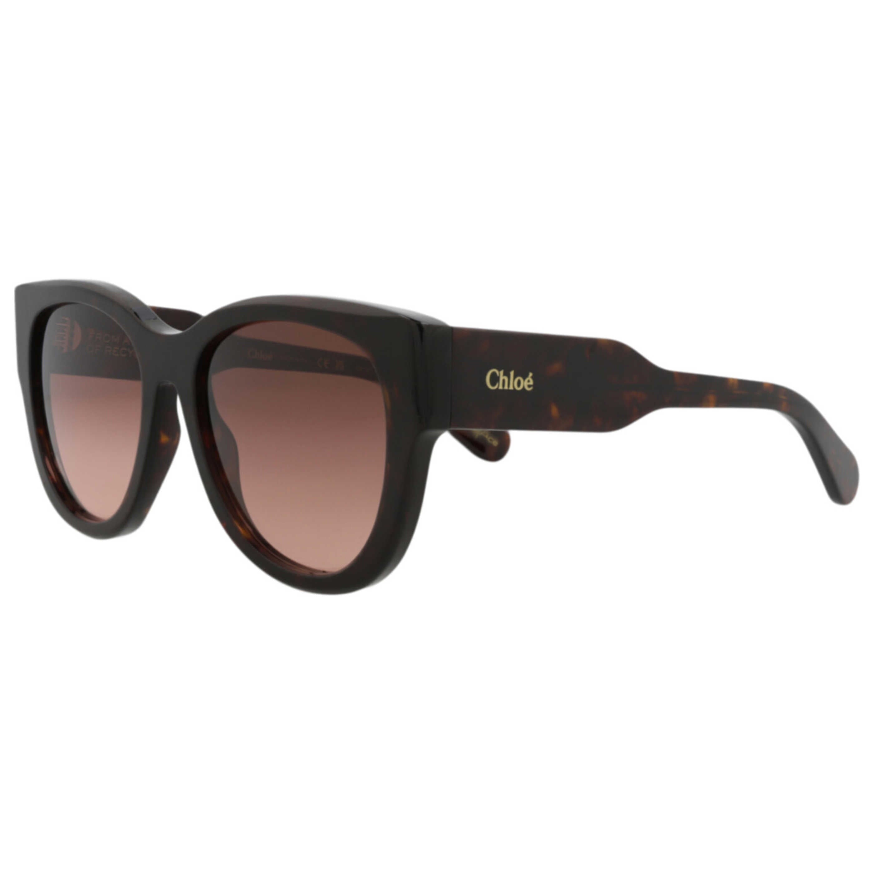 Chloe Women's Sunglasses CH0192S-30014665-002