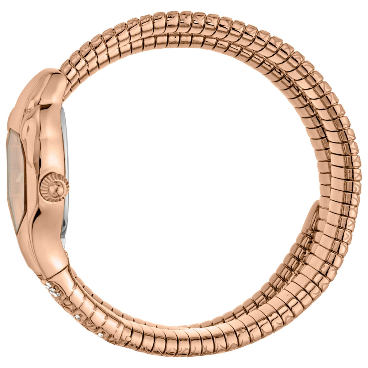 Just Cavalli Women's Watch JC1L112M0035