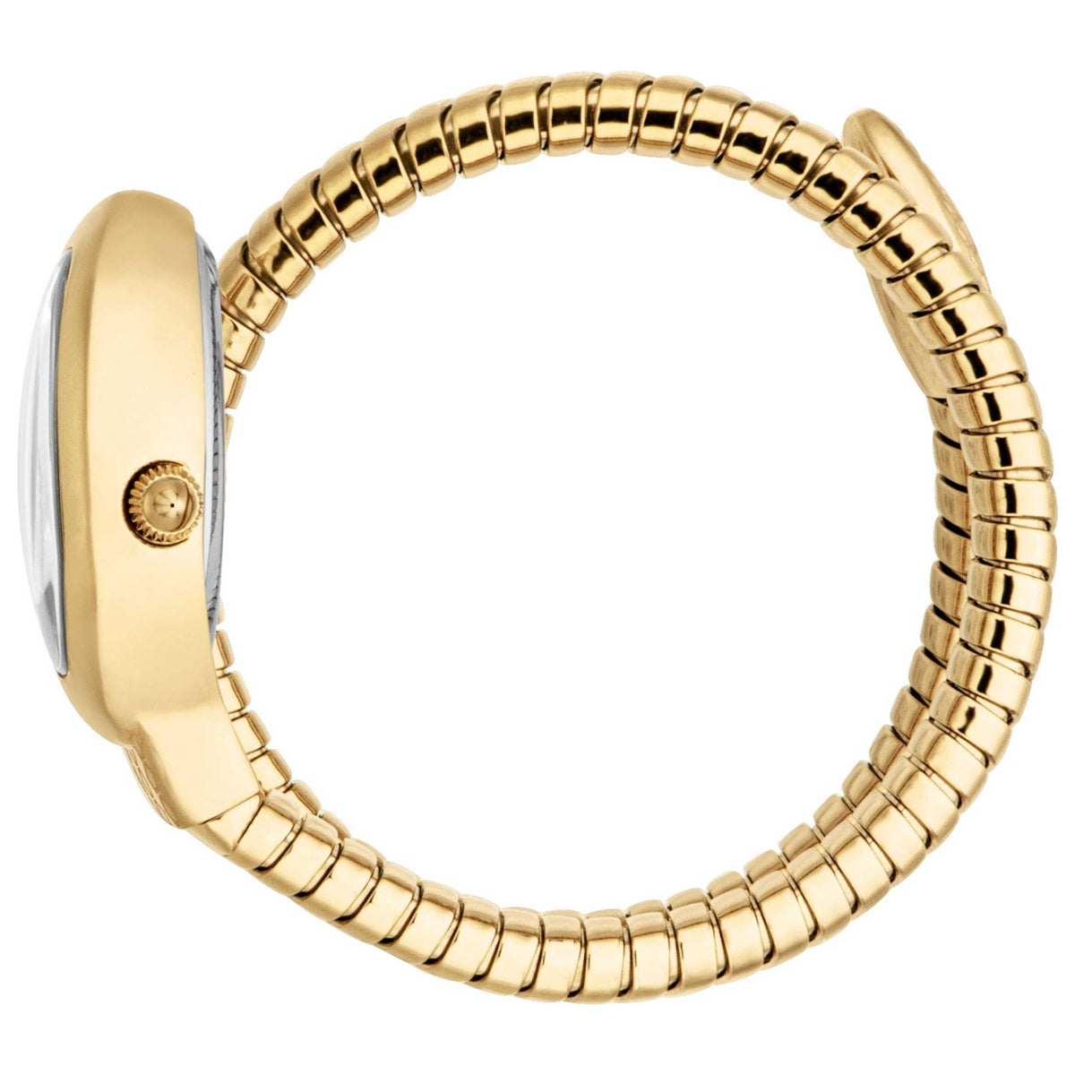 Just Cavalli Women's Watch JC1L371M0025