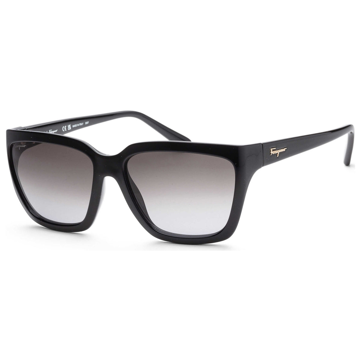 Ferragamo Fashion Women's Sunglasses SF1018S-001