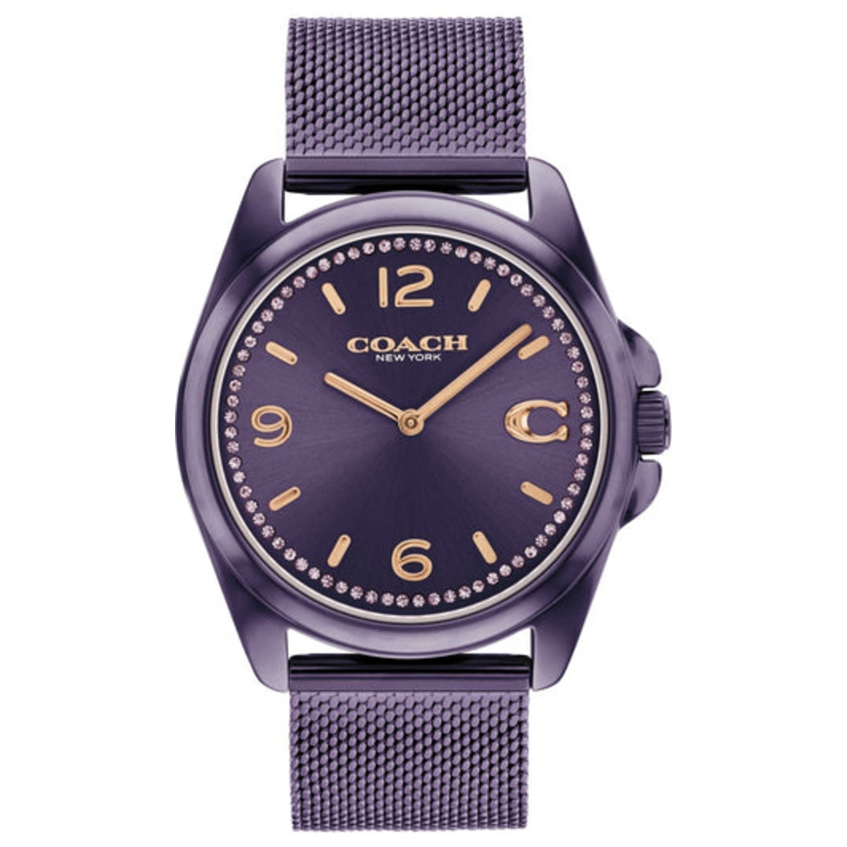 Coach Greyson Women's Watch 14504145