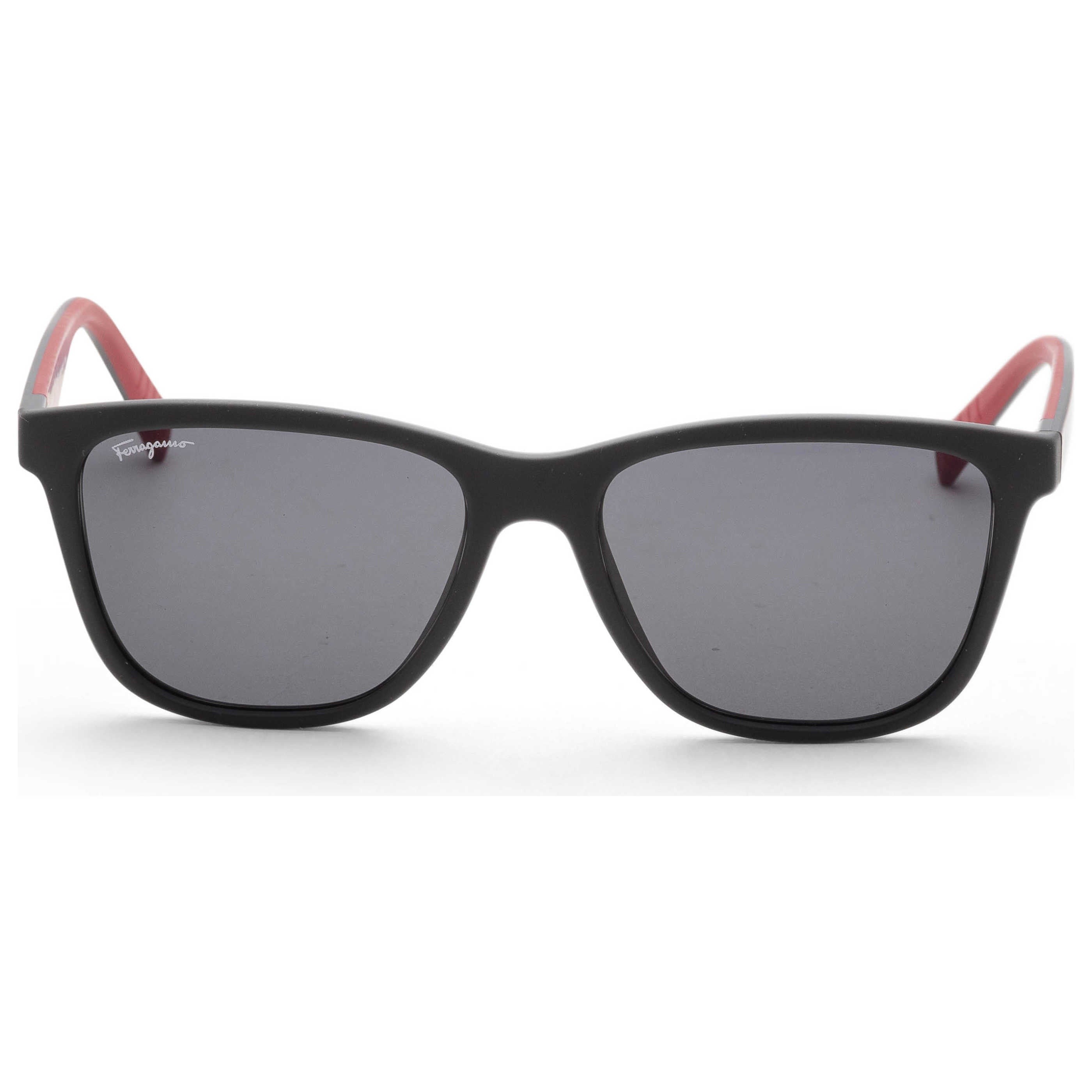 Ferragamo Fashion Men's Sunglasses SF998S-038