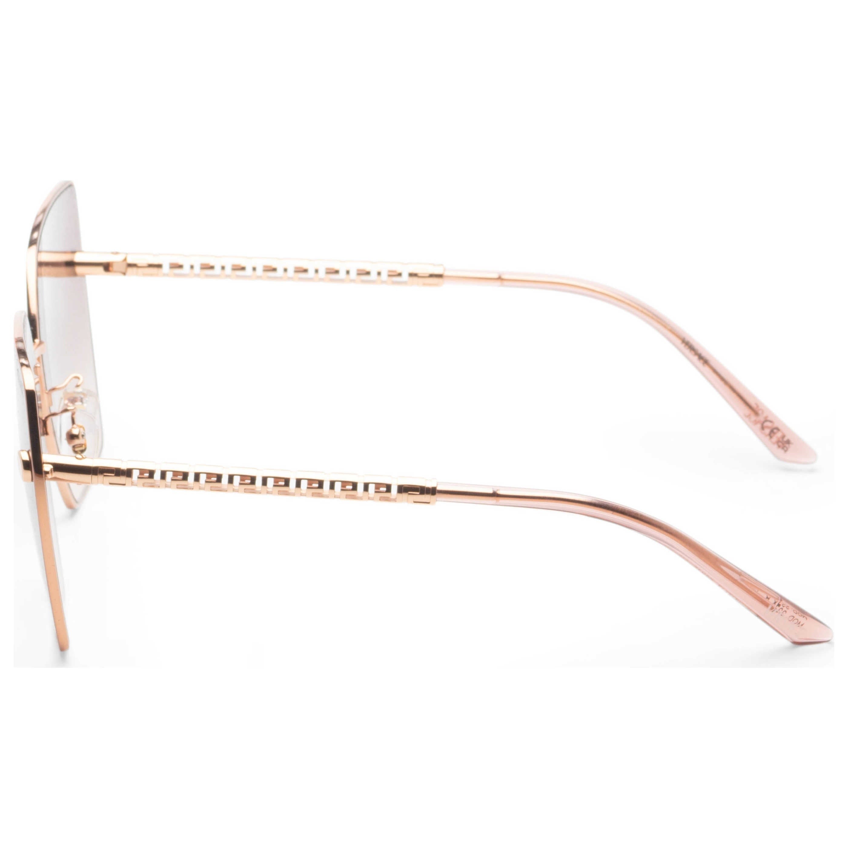 Versace Women's Sunglasses VE2270D-141213-47