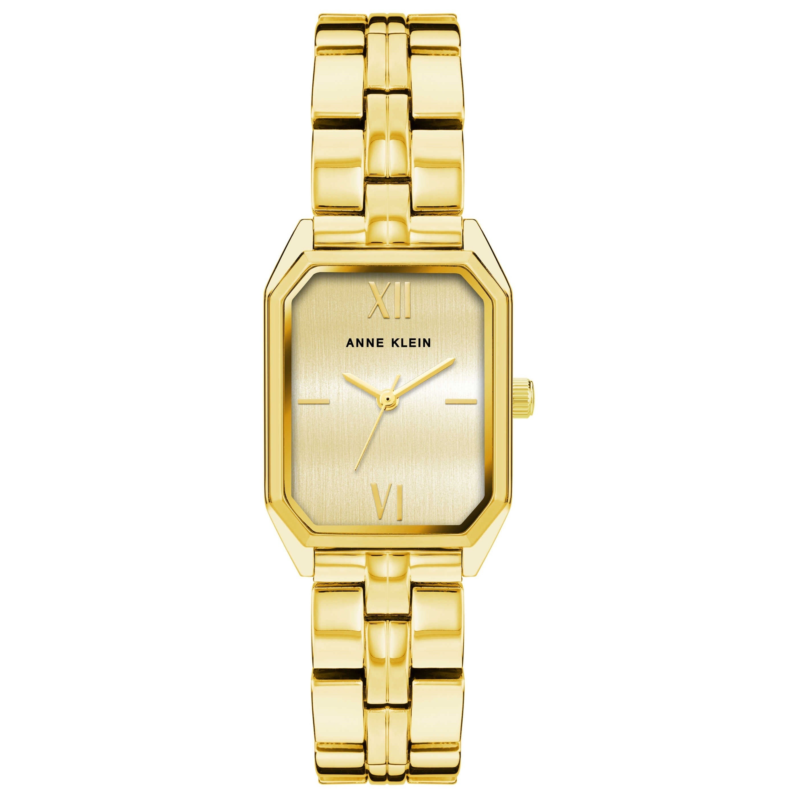 Anne Klein Classic Women's Watch AK-3774CHGB