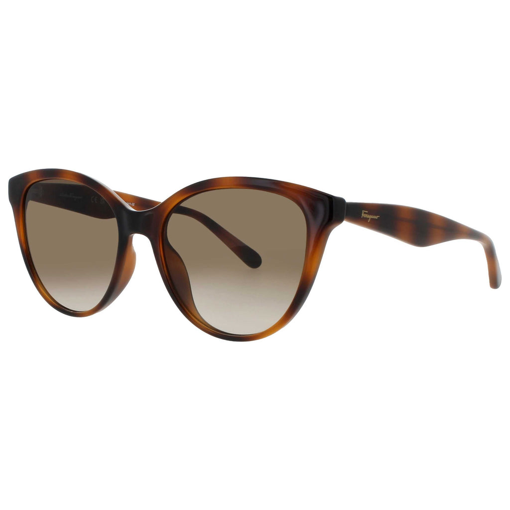 Ferragamo Women's Sunglasses SF-SF1073S-240