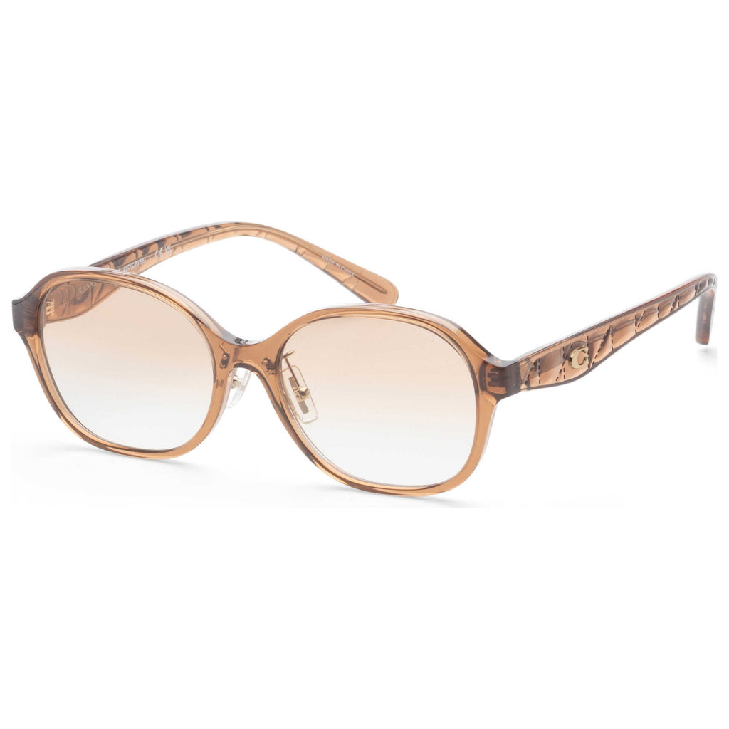 Coach Women's Sunglasses HC8445D-565413-56