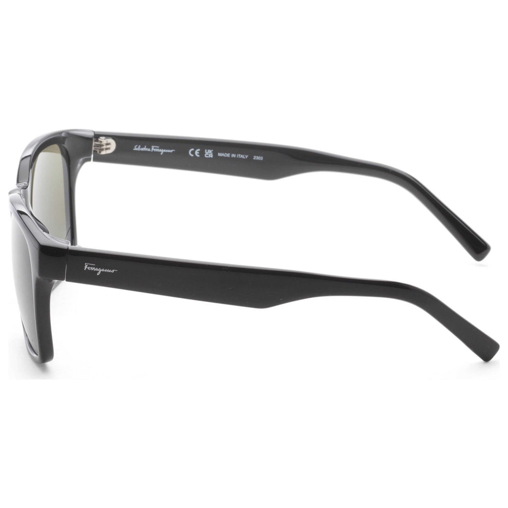 Ferragamo Fashion Women's Sunglasses SF959S-001