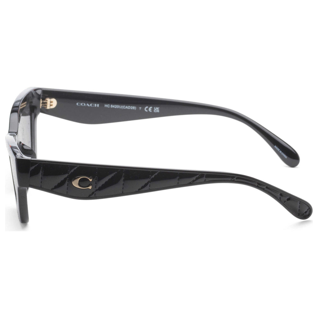 Coach Women's Sunglasses HC8420U-500287-55