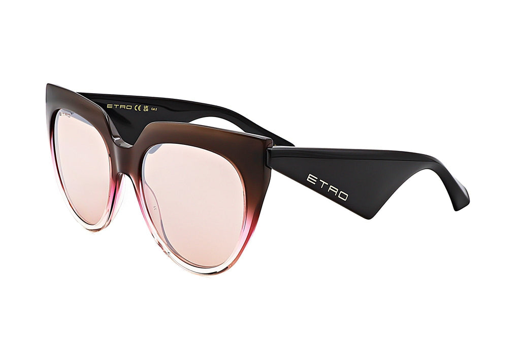 Etro Women's Acetate Sunglasses