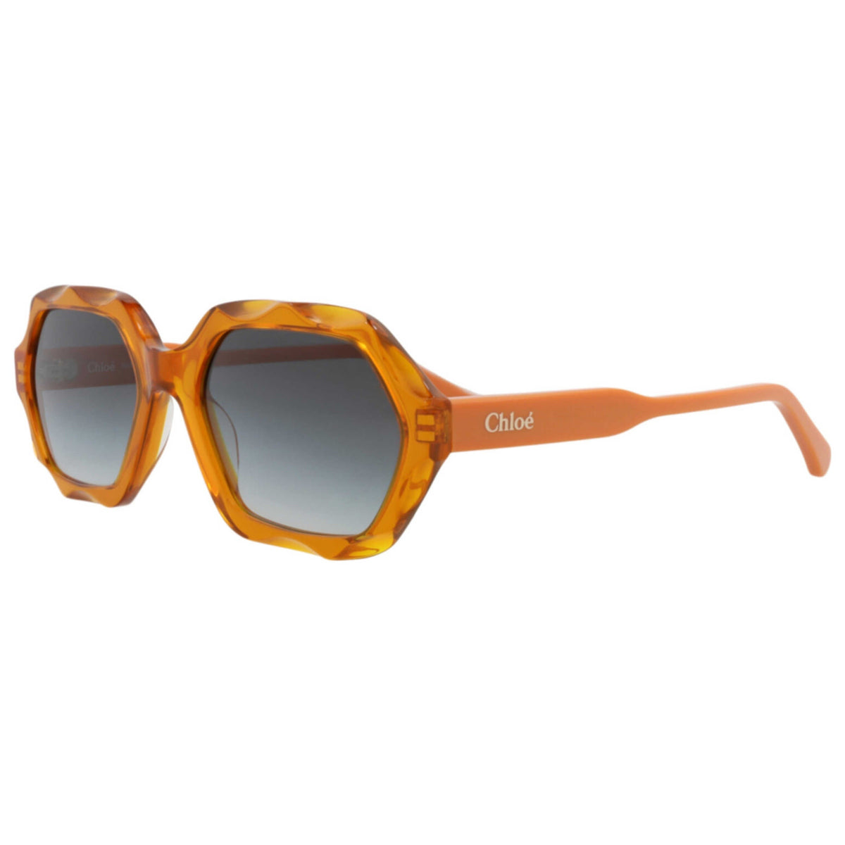 Chloe Women's Sunglasses CH0227S-30015142-004