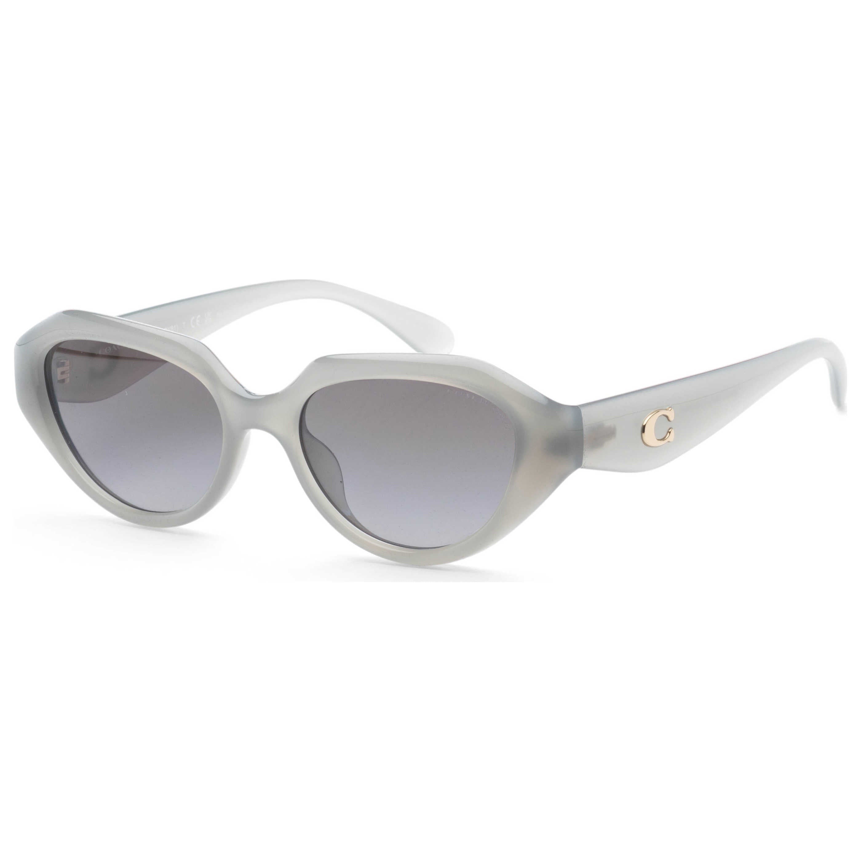 Coach Women's Sunglasses HC8433U-5905T3-52