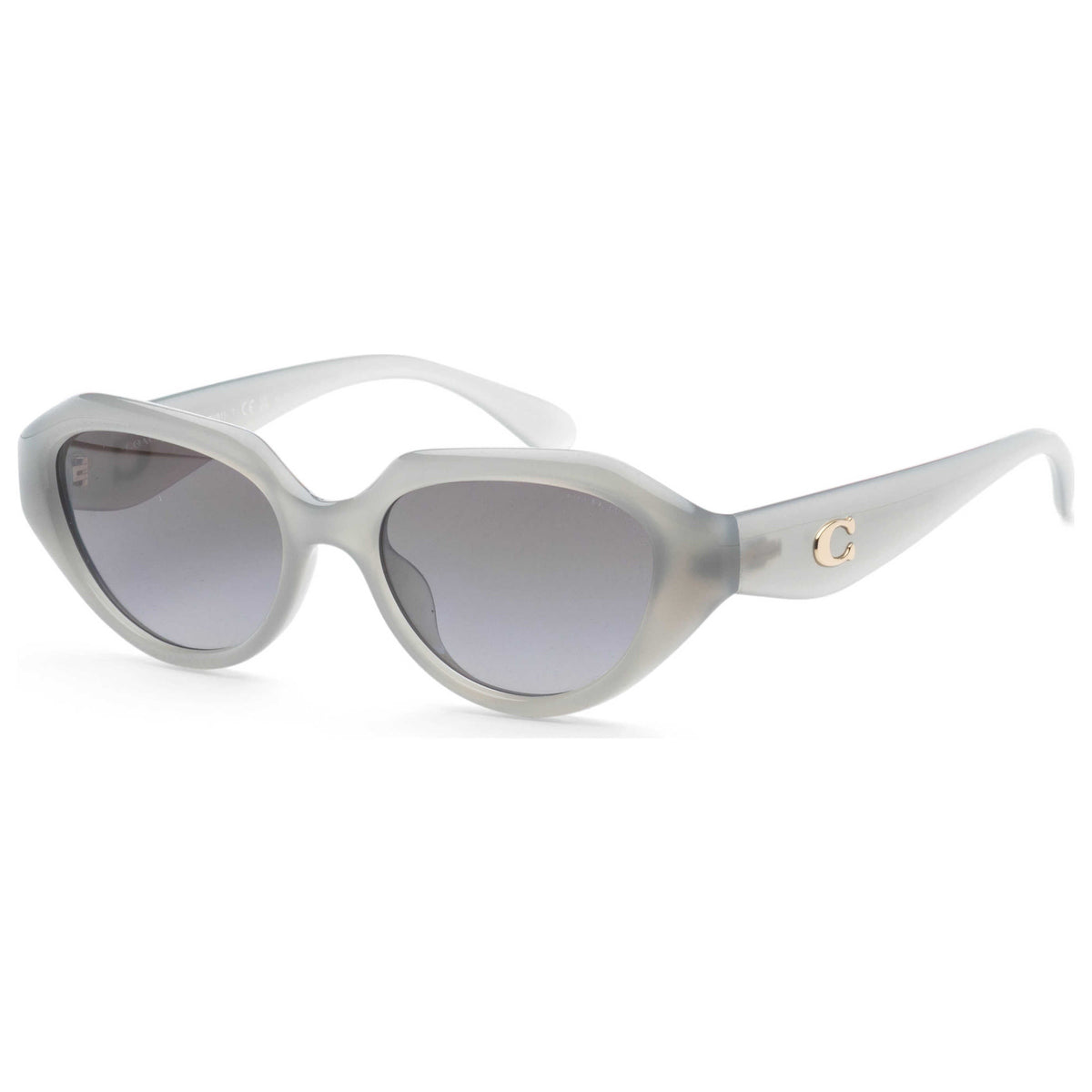Coach Women's Sunglasses HC8433U-5905T3-52