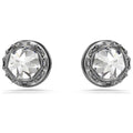 Swarovski Sublima Unisex Earrings 5723185