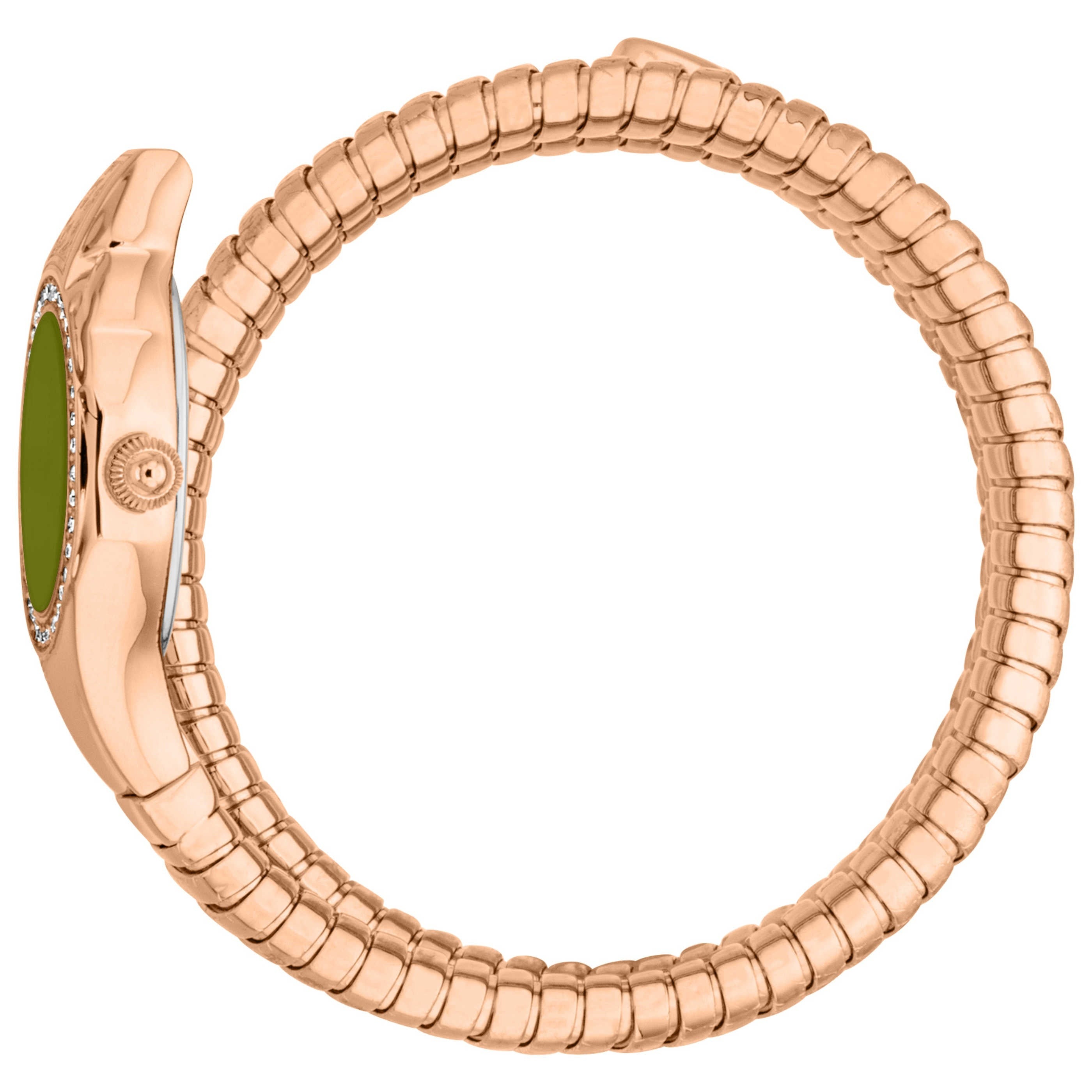 Just Cavalli Women's Watch JC1L355M0045