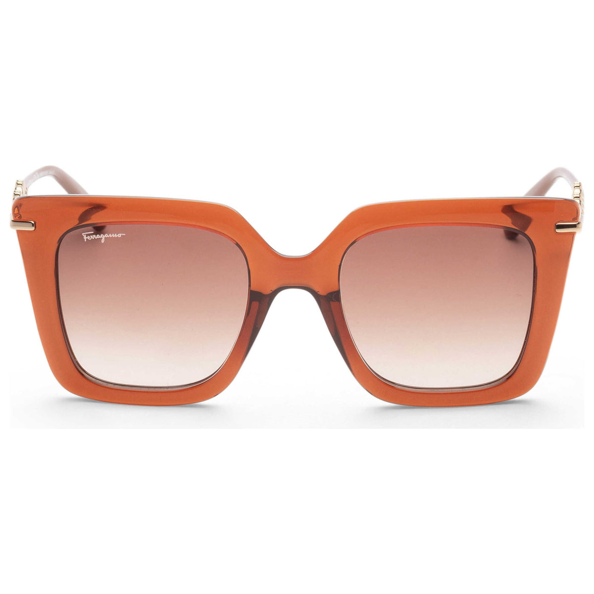 Ferragamo Women's Sunglasses SF1041S-232-51
