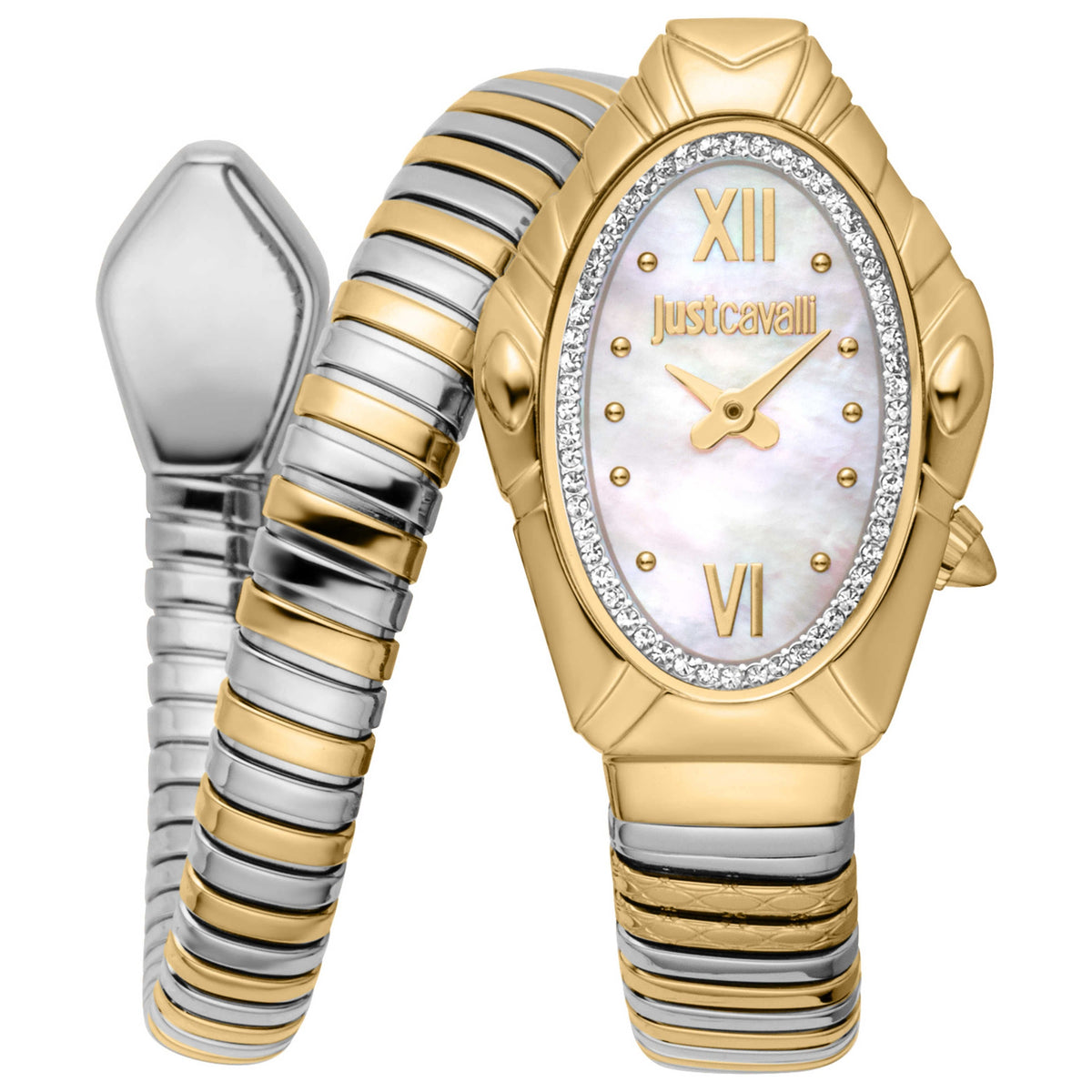 Just Cavalli Women's Watch JC1L357M0055