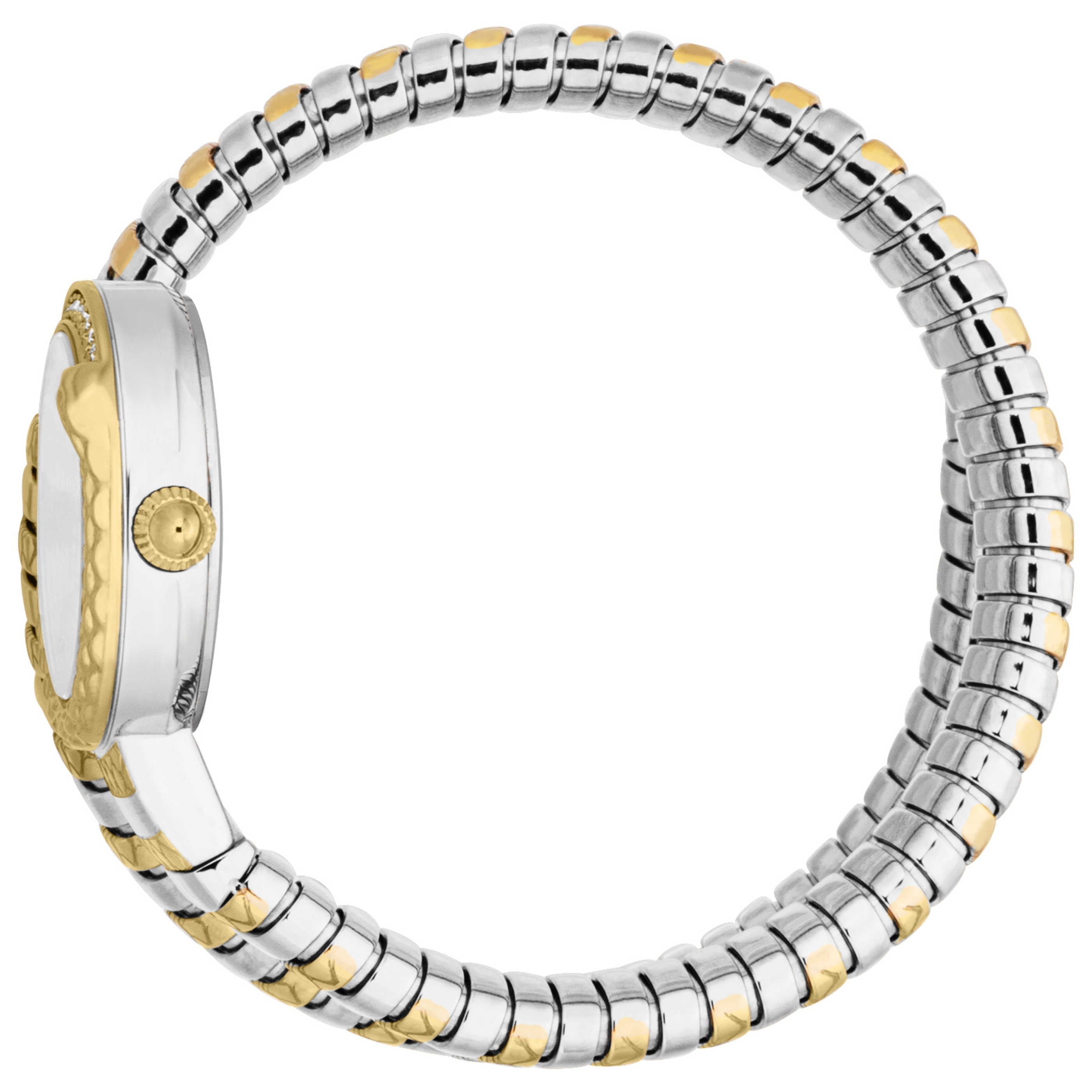 Just Cavalli Women's Watch JC1L301M0065