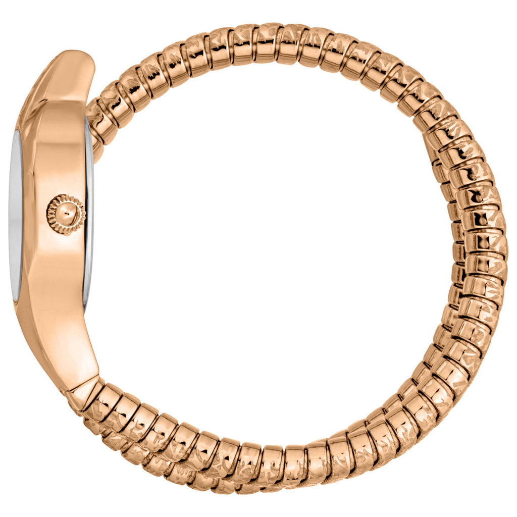 Just Cavalli Women's Watch JC1L271M0075