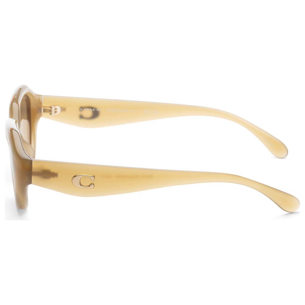 Coach Women's Sunglasses HC8433U-590230-52