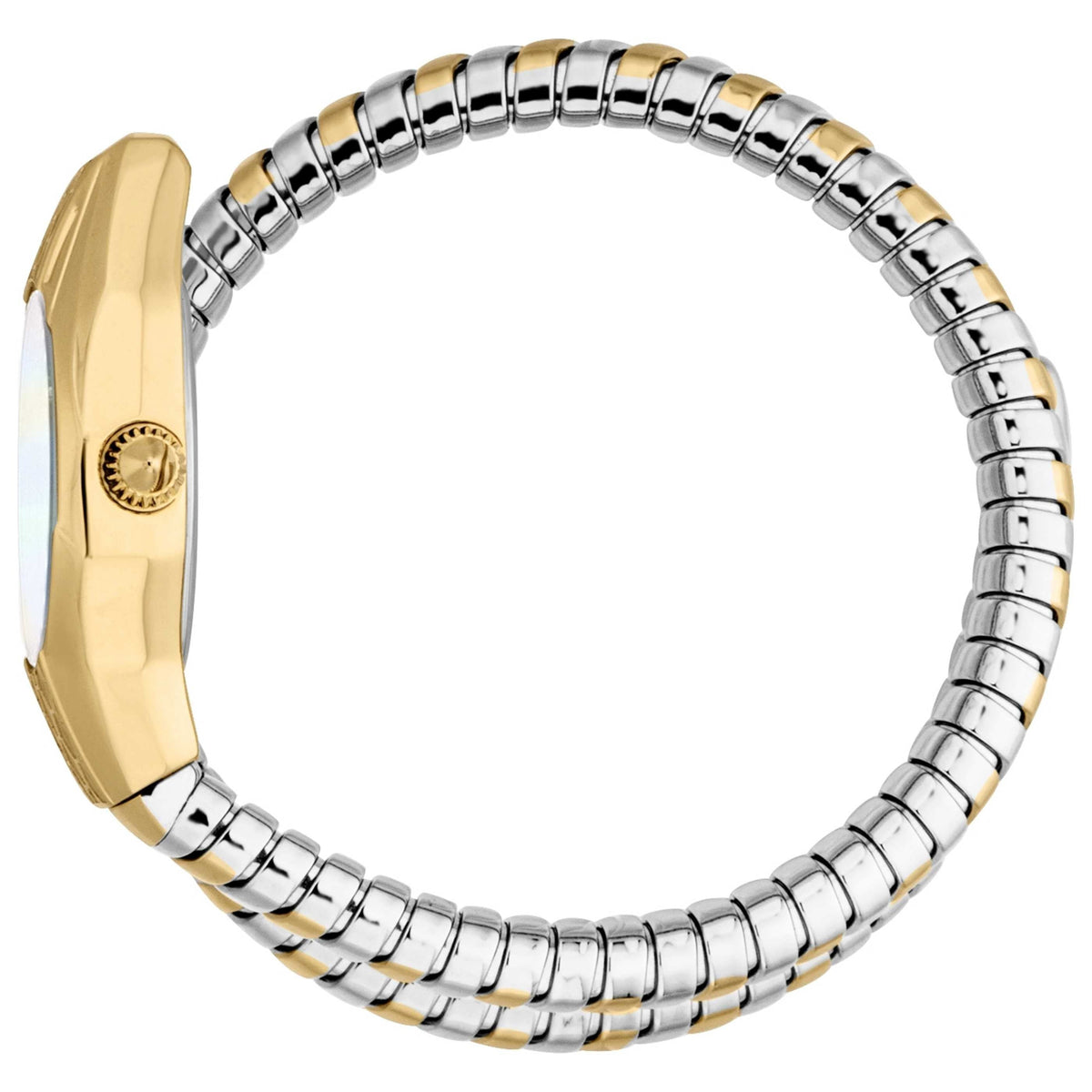Just Cavalli Women's Watch JC1L375M0055