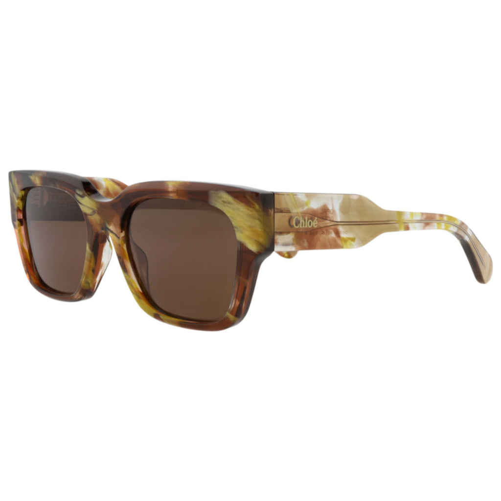 Chloe Women's Sunglasses CH0190S-30014666-010