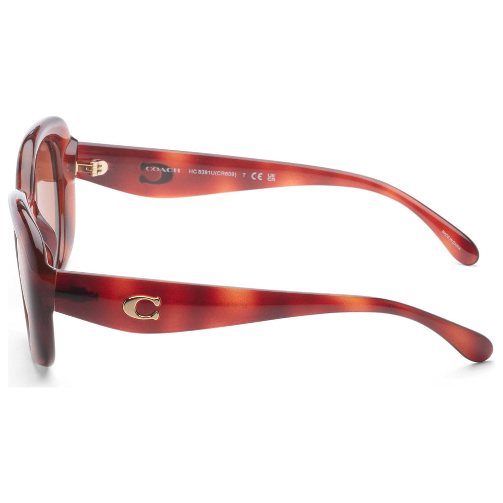 Coach Women's Sunglasses HC8391U-577473-53