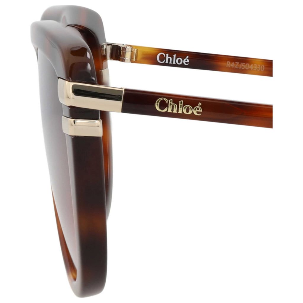 Chloe Women's Sunglasses CH0203S-30014676-002