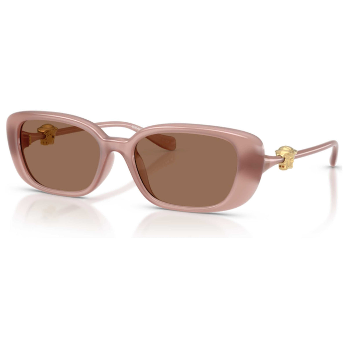 Versace Women's Sunglasses VE4504D-553573-56