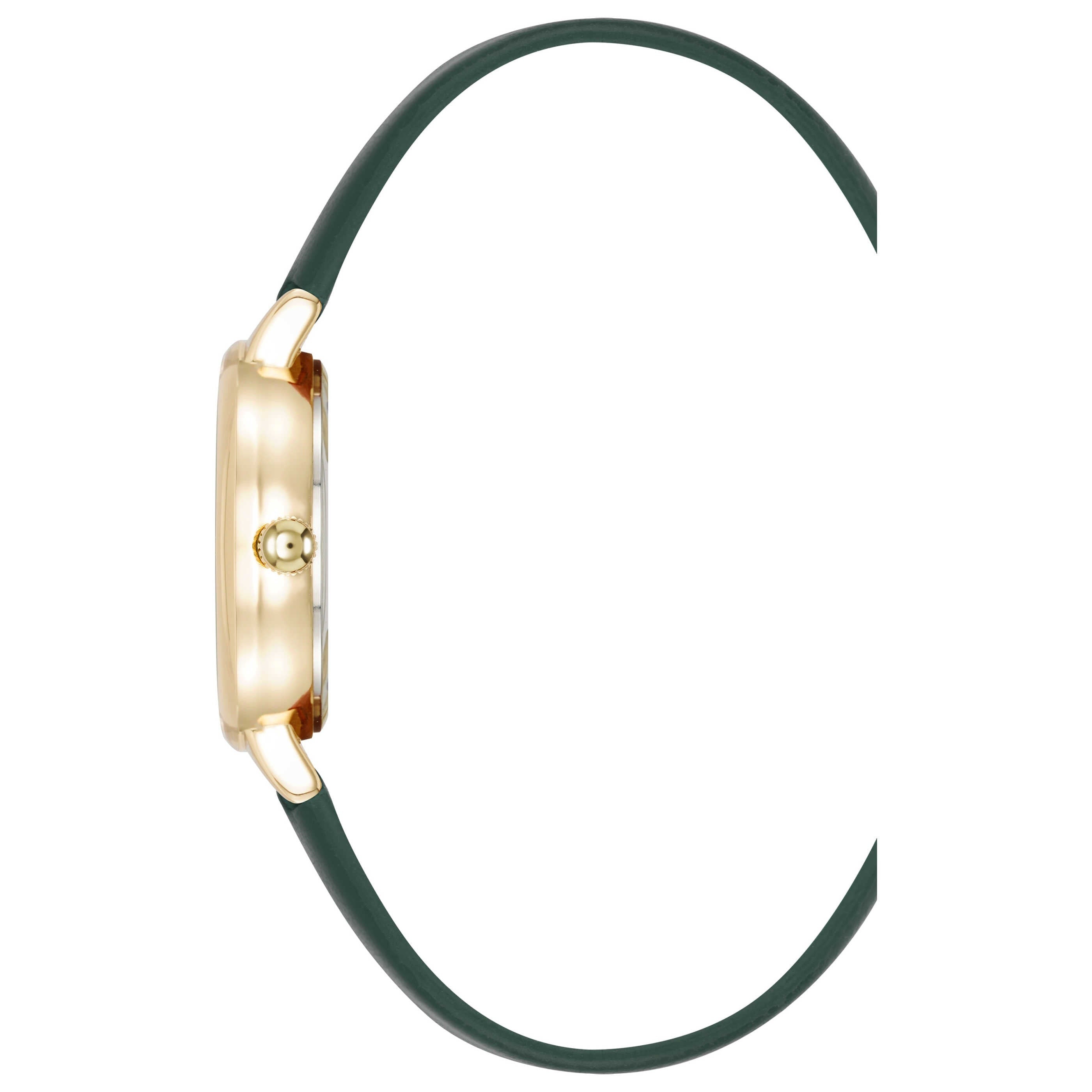 Anne Klein Women's Watch AK-4200GPGN