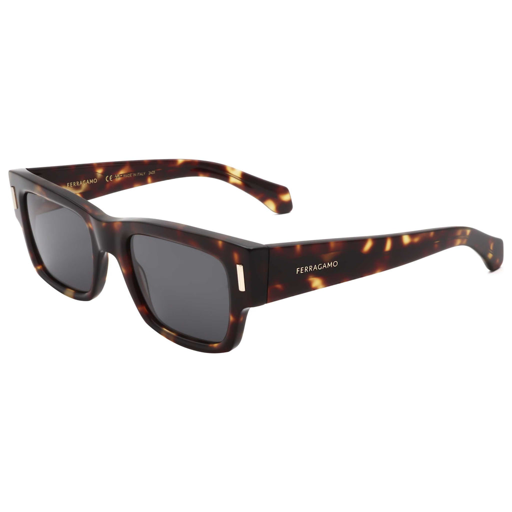 Ferragamo Men's Sunglasses SF2011S-242-53