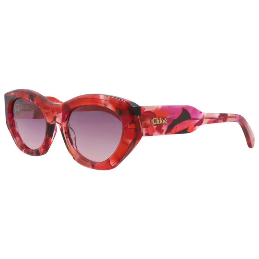 Chloe Women's Sunglasses CH0220S-30015146-012