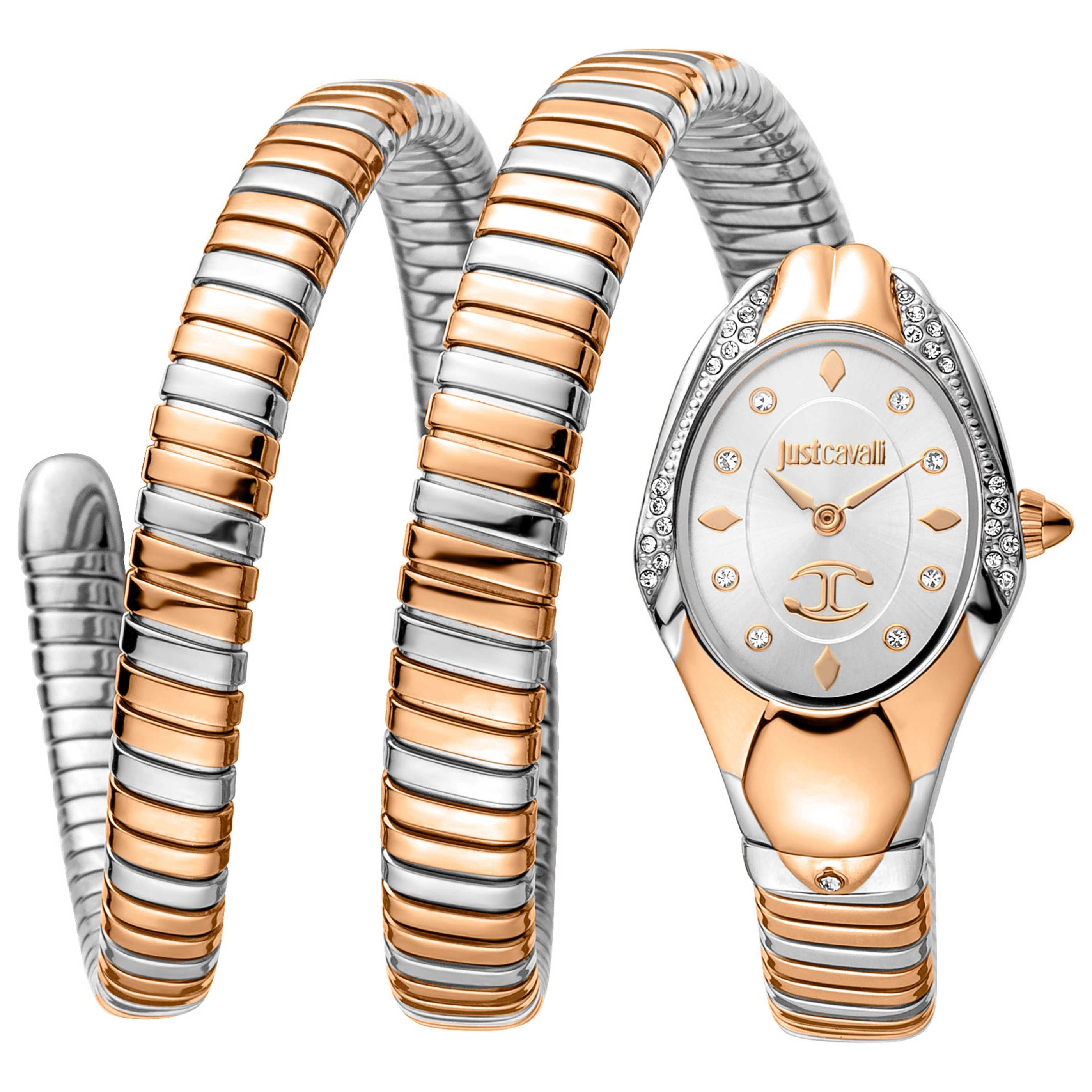 Just Cavalli Women's Watch JC1L185M0075