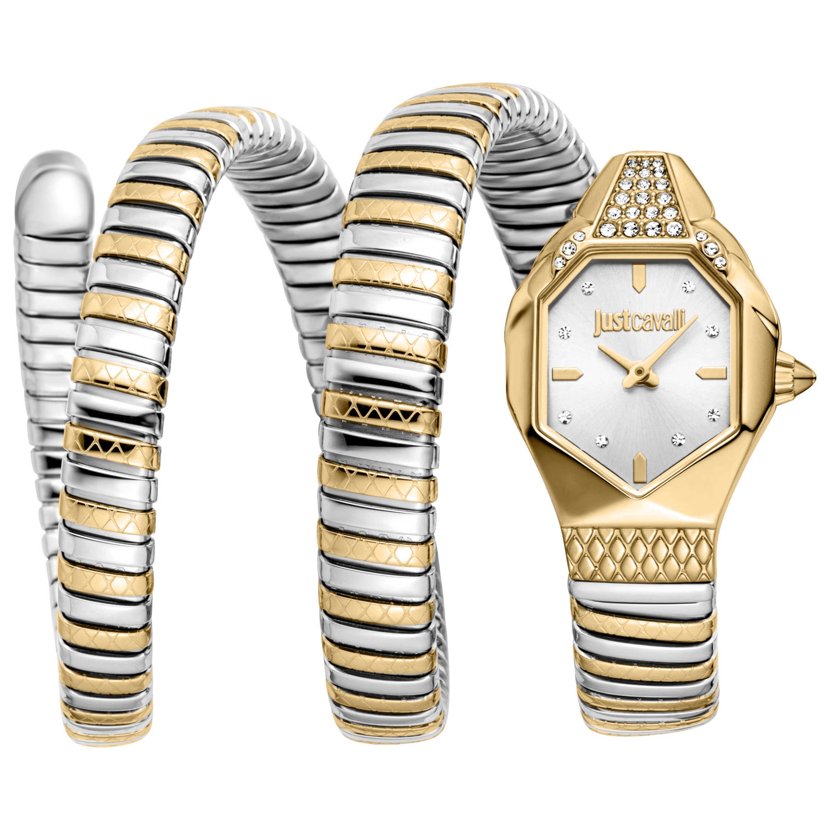 Just Cavalli Women's Watch JC1L370M0055