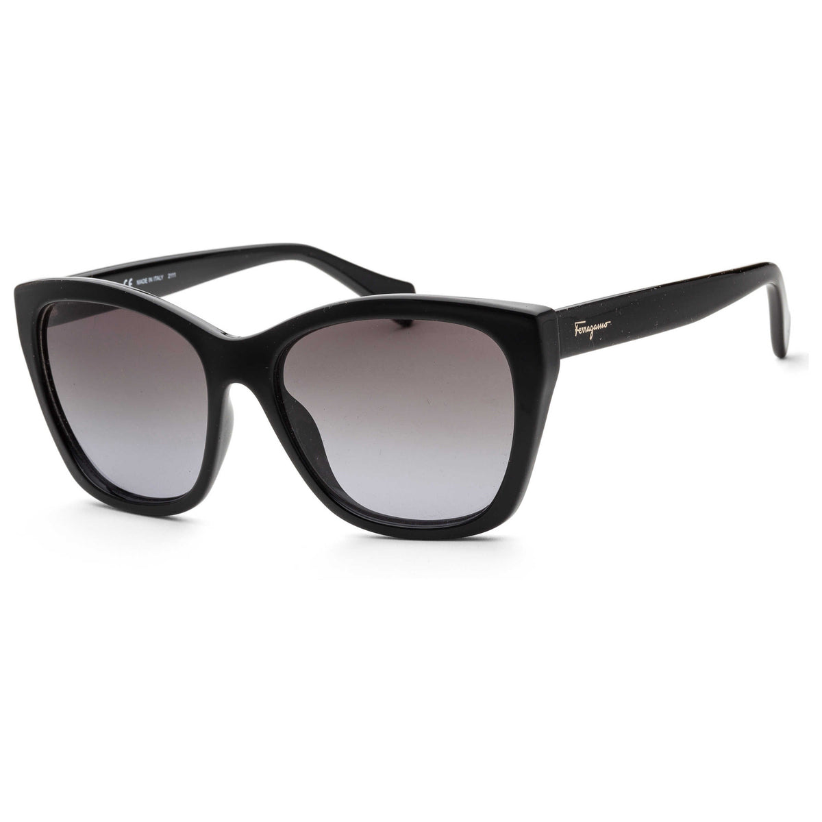 Ferragamo Fashion Women's Sunglasses SF957S-001