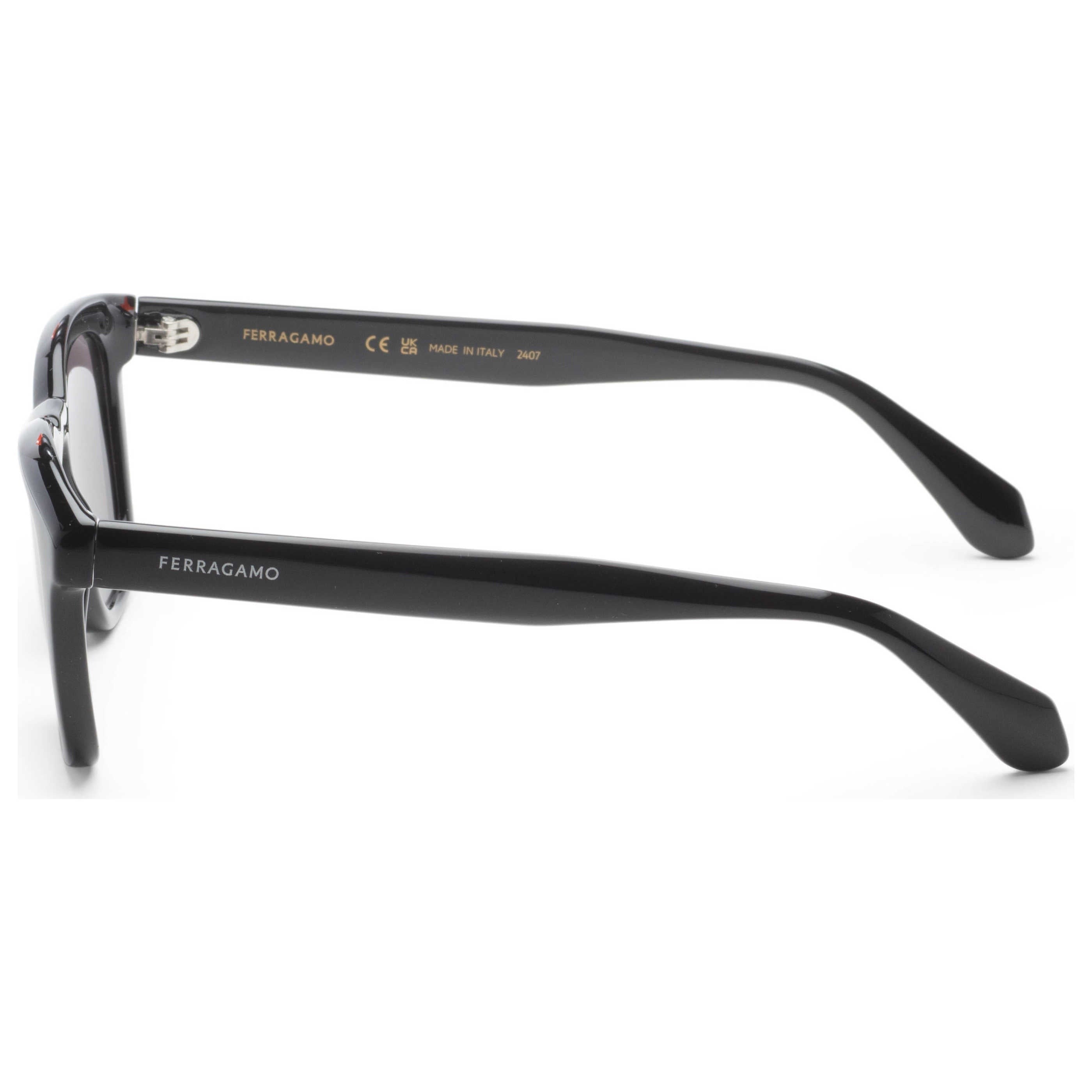 Ferragamo Unisex Sunglasses SF2040SE-001-50