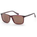 Calvin Klein Men's Sunglasses CK19568SN-601